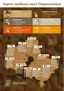 Карта мест подмосковья