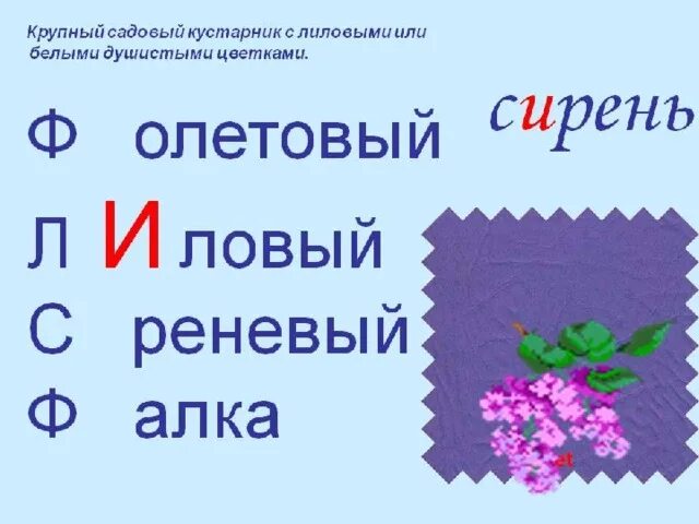 Сирень ударение. Сирень словарное. Фиолетовый словарное слово. Лиловый словарное слово. Сиреневый словарное слово.