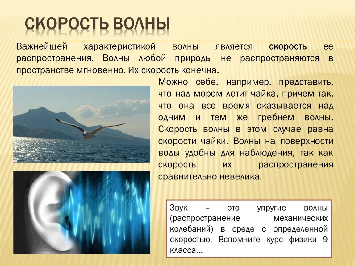 По поверхности воды распространяется волна расстояние. Характеристики волны в физике. Волны для презентации. Волновые явления в природе. Скорость волны характеристика.