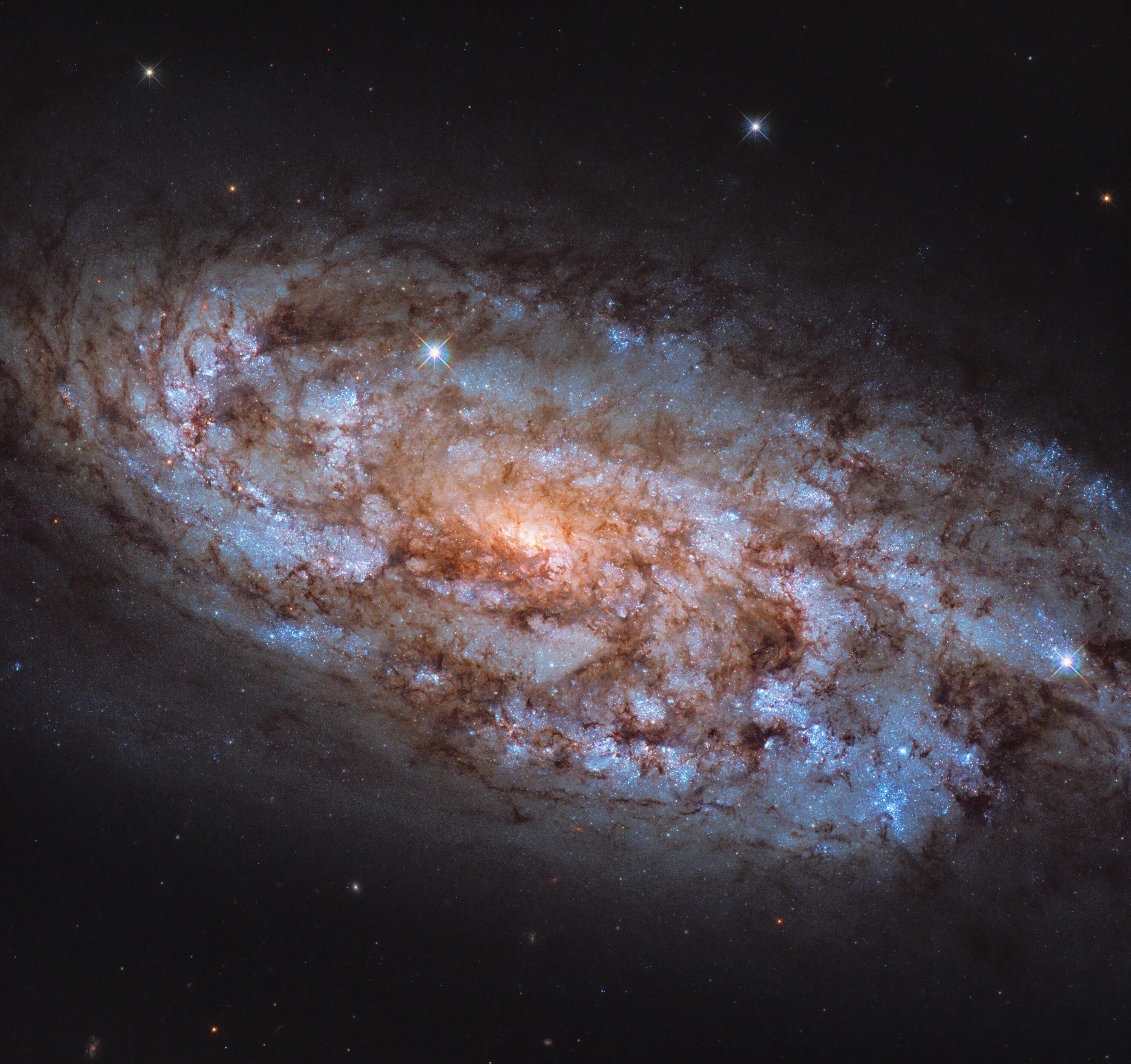 В космосе видно звезды. Спиральная Галактика NGC 3521. Галактика NGC 7674. Галактика NGC 4449. Галактика NGC 1808.
