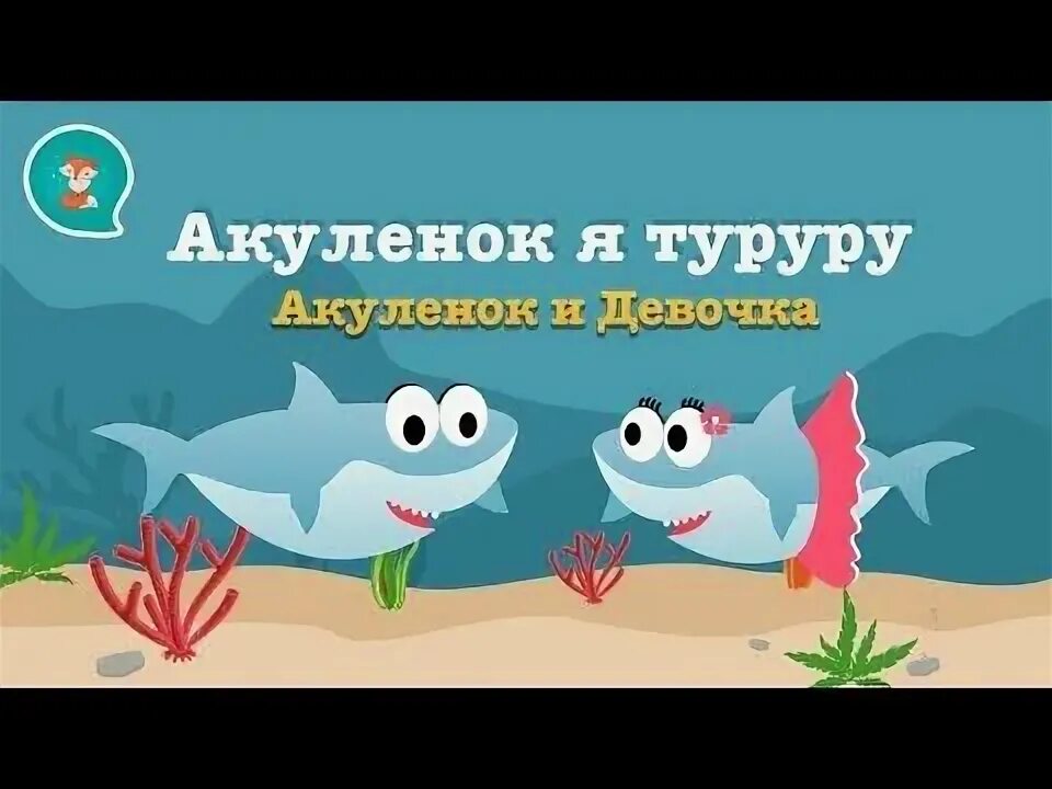 Туруру акулёнок туруру. Акулёнок я. Я акула. Акуленок туруру Акуленок. Песня акуленку