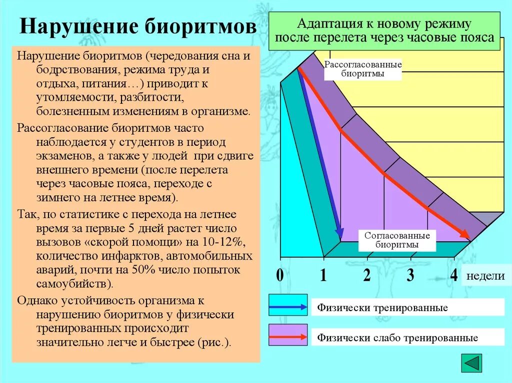 Нарушение биологических ритмов. Нарушение биоритмов человека. Сбой биологических ритмов. Причины нарушения биоритмов человека.