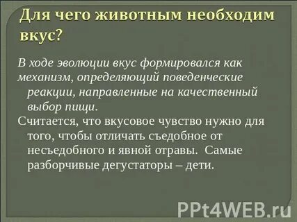 Формирование вкуса