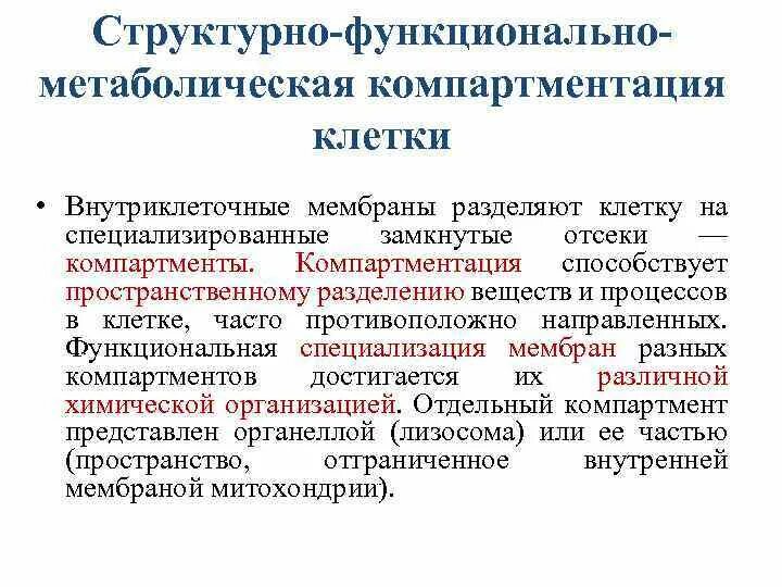 Понятие о компартментализации клеток.. Принцип компартментации биологическая мембрана. Структурно-функциональная организация клетки. Компартментализация эукариотических клеток. Принципы организации клеток