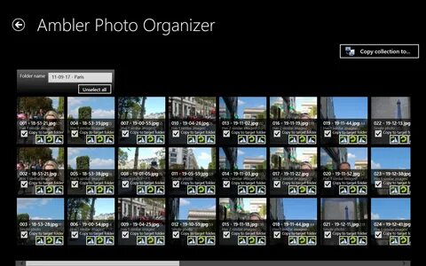 Windows organizer