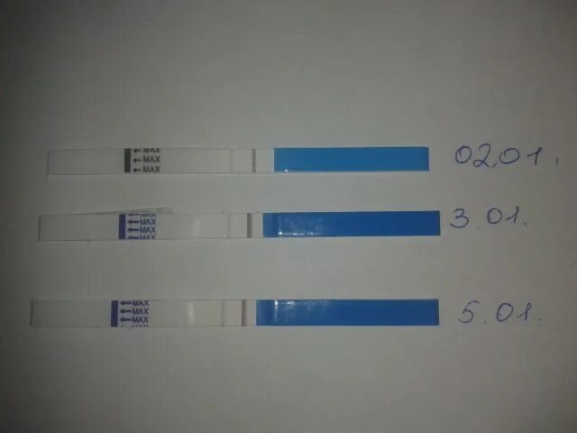 Тест на беременность на первой неделе. Тест на беременность 5 недель. 3.5 Недели тест положительный. Тест 5 недель задержки. Положительные тесты 1 неделя.