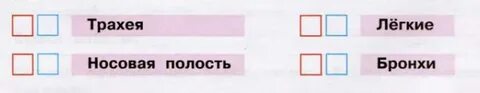 Определи в какой последовательности