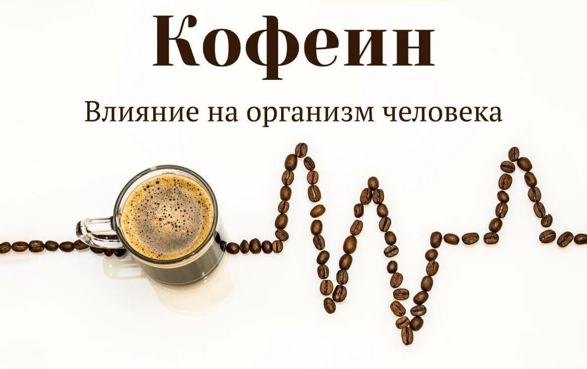 Влияние кофеина на человека. Влияние кофе. Влияние кофеина на сердечно-сосудистую систему. Кофеин воздействие на организм. Действие кофе на организм.