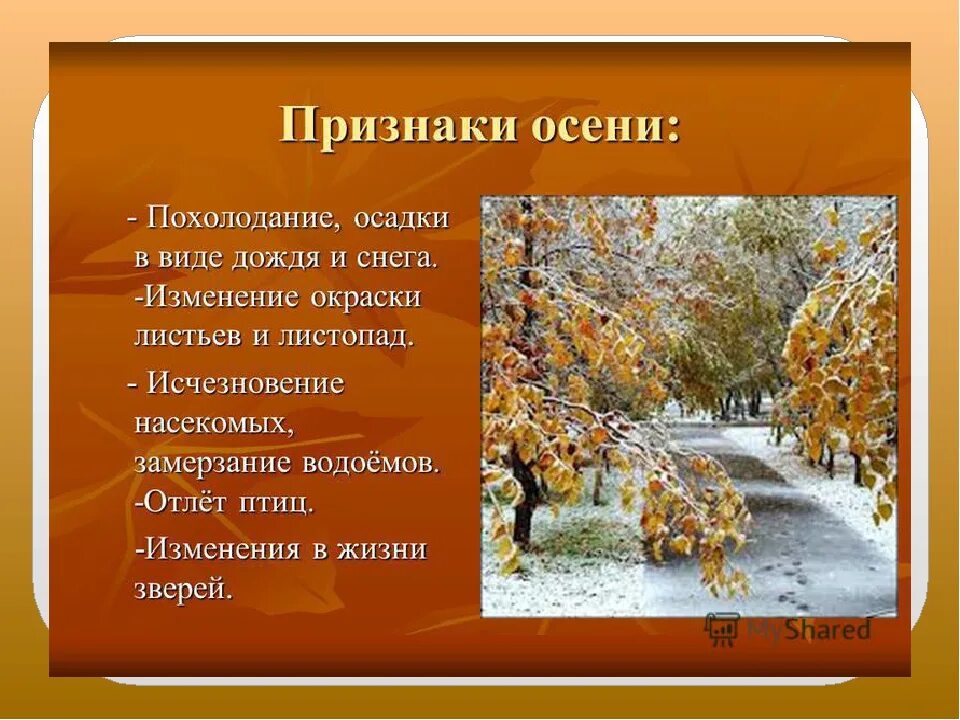 Презентация на тему осен. Признаки осени. Осенние изменения в природе. Презентация на тему ОС.