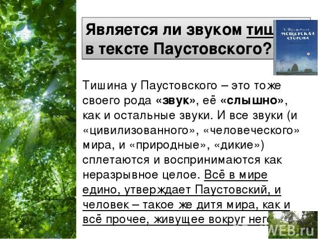 Паустовский в тишине ночи. В тишине ночи можно было услышать Паустовский. К Паустовский в тишина ночь услышать можно. Паустовский закат тяжело пылает на кронах деревьев. Паустовский тишина