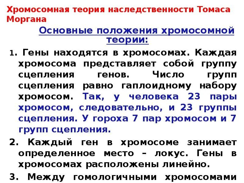 Положениями хромосомной теории наследственности является. Основные положения хромосомной теории наследственности. Хромосомная теория наследственности Моргана основные положения. Хромосомная теория наследственности т.Моргана ее основные положения.