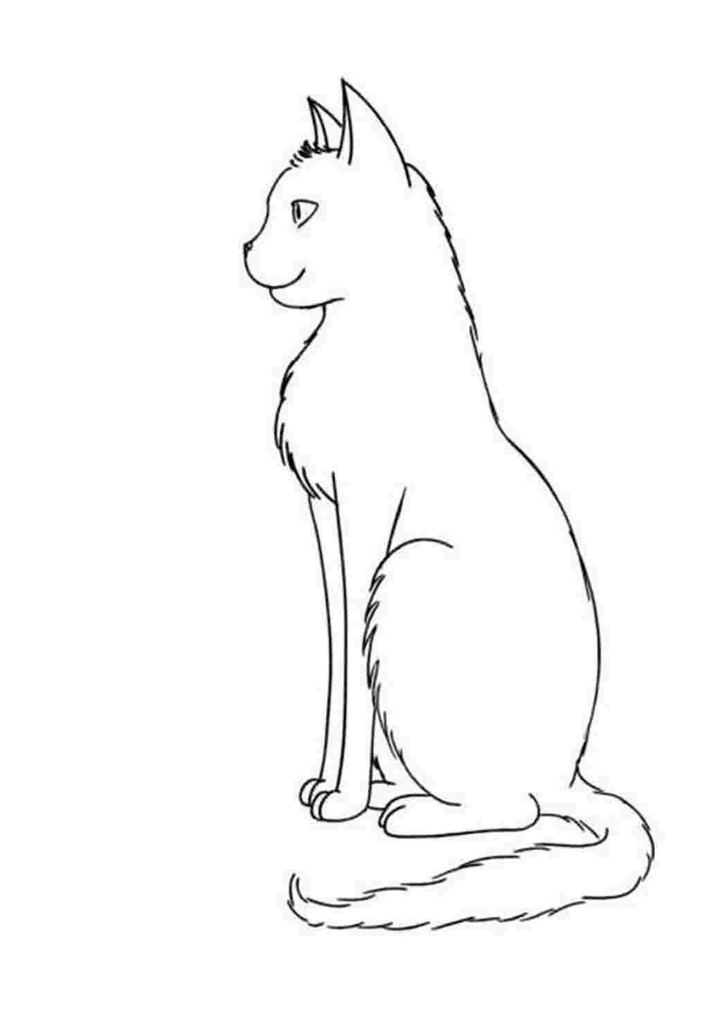 Как нарисовать сидящую кошку. Нарисовать сидящего кота. сидящий кот для срисовки. кот сбоку рисунок. кот сидит рисунок.