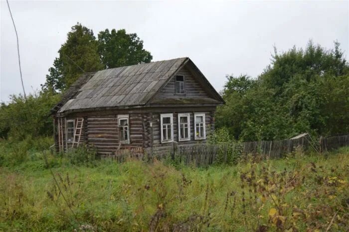 Заболотье тюменская область. Деревня заболотье. Домодедово деревня. Деревня заболотье. Днп серебряная подкова.
