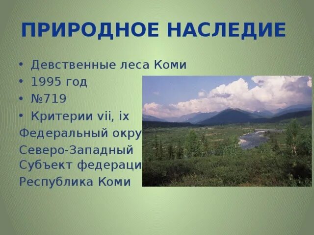 Природное наследие россии 8 класс география. Девственные леса Коми (1995). Леса Коми объект Всемирного природного наследия. Всемирное природное наследие леса Коми. Девственные леса Коми объект Всемирного наследия России.