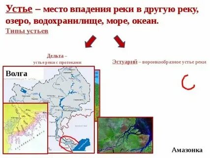 Устье реки волга и амазонка