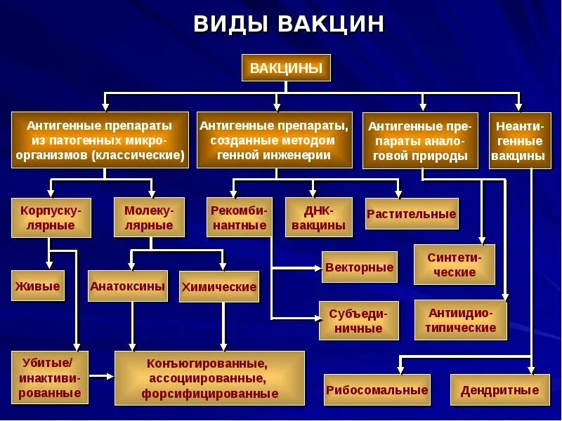 Классификация вакцин схема. Классификация инактивированных вакцин. Классификация вакцин микробиология. Современная классификация вакцин. По какому принципу можно