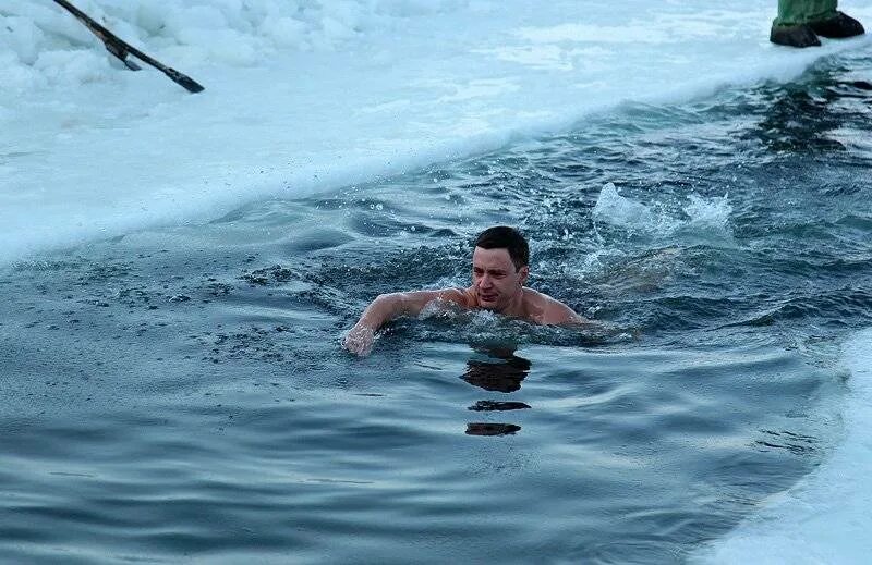 Где в 2007 совершил заплыв льюис пью. Морж из проруби. Заплыв в ледяной воде. Красивый парень морж.