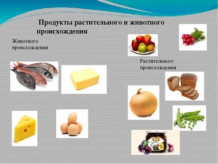 Продукты растительного происхождения содержащие
