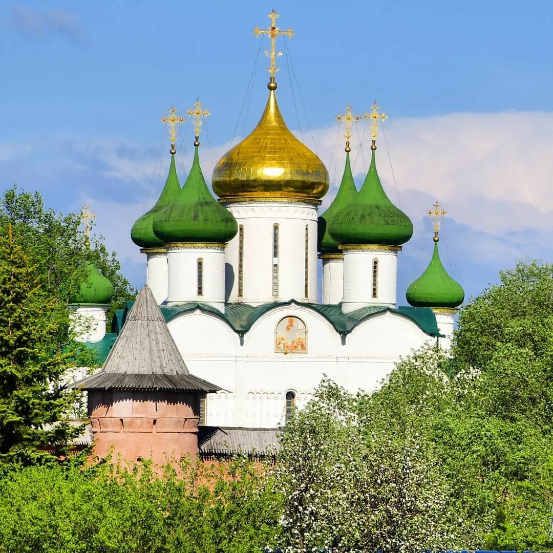 Суздаль церкви и храмы. Церковь Ильи пророка Суздаль.