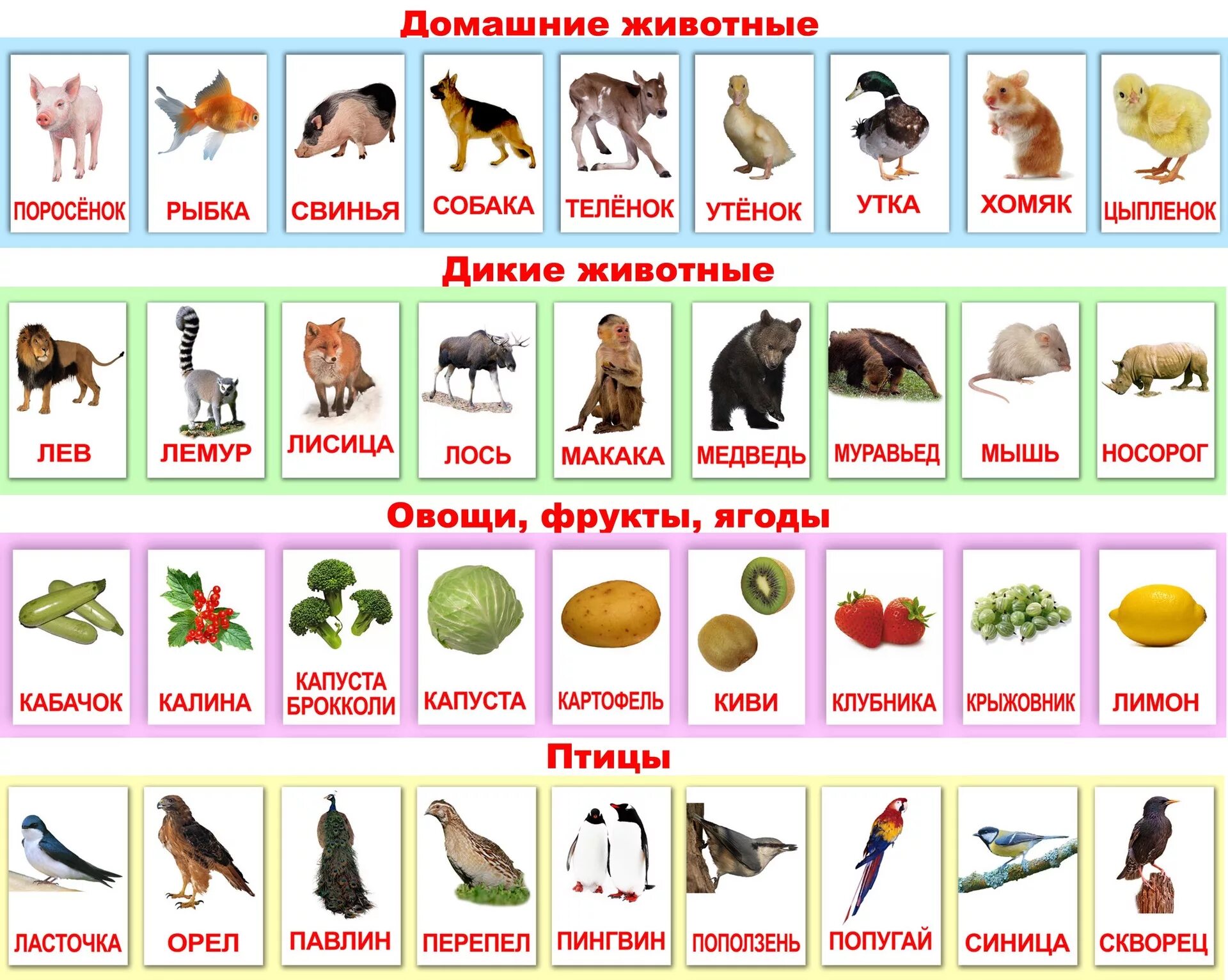 карточки к планшету логико малыш психология. набор карточек для детей развивающие. набор обучающих карточек. обучающие карточки для малышей первые слова. набор карточек для детей развивающие.