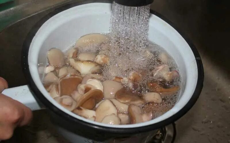 Вода после грибов. Промывание грибов. Замоченные грибы. Грибы в воде. Мытье грибов.