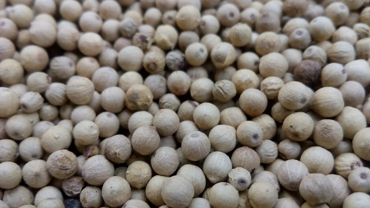 White pepper