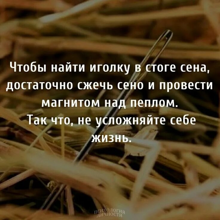 Сено цитаты. Сено фразы. Иголка в сене афоризмы. Иголка в стоге сена. Высказывания про сено.