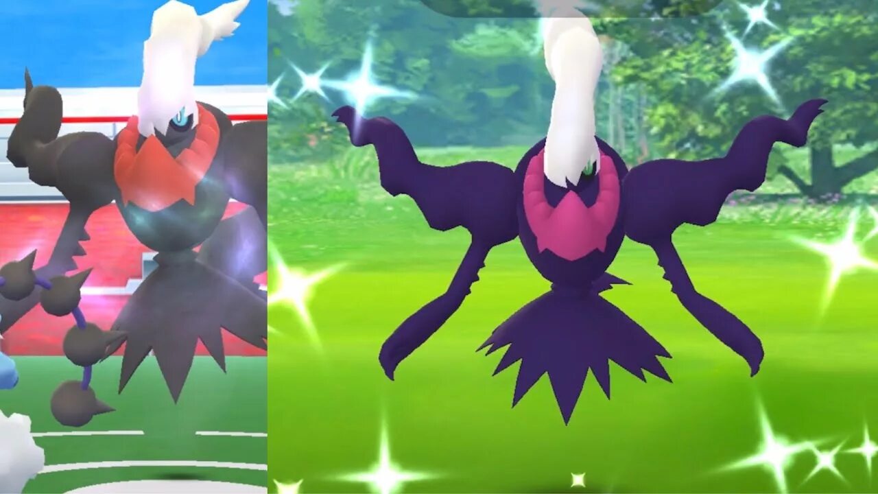Shiny go