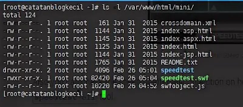 Root html