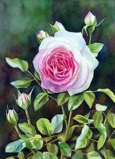Painted rose