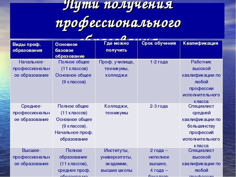 Высшие образования названия. Виды профессионального образования. Виды проффесиональногообучения. Виды и формы профессионального обучения. Типы среднего образования.