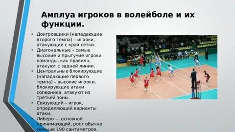 Места в волейболе