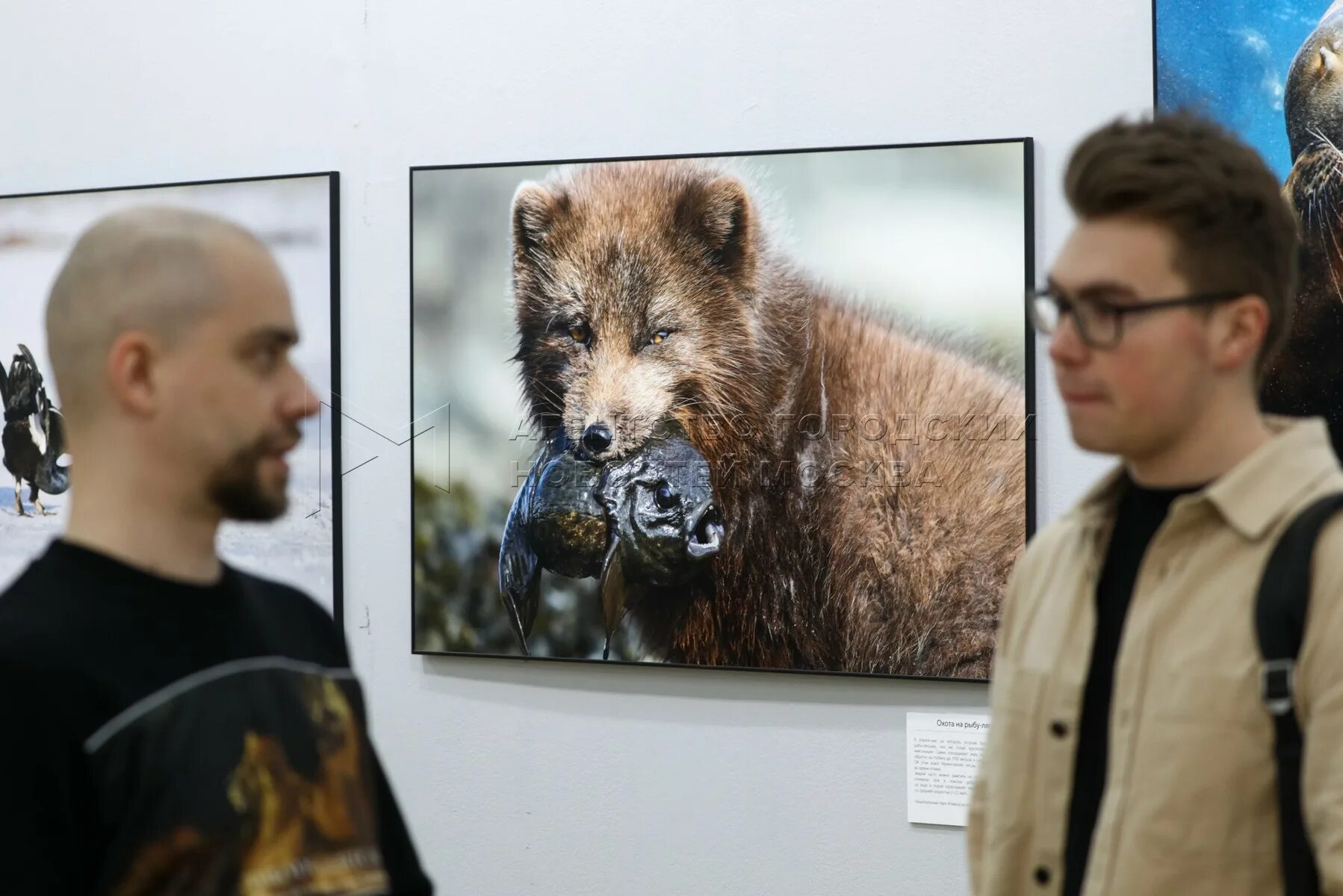 Новая третьяковка первозданная россия. Фестиваль природы Первозданная Россия 2023. Первозданная Россия 2024. Фестиваль природы Первозданная Россия 2024. Выставка Первозданная Россия 2024 в Москве.