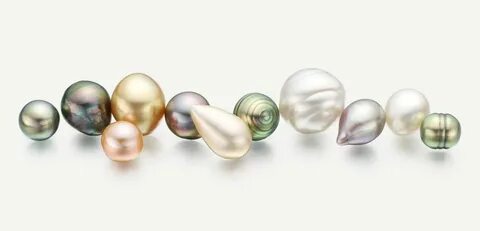 Terea sun pearl
