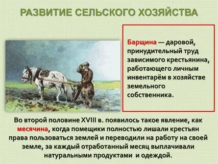 Развитие сельского хозяйства и ремесел