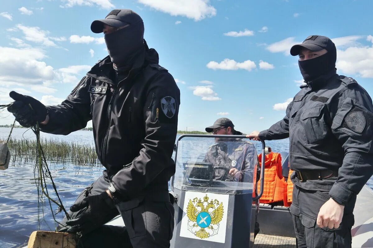 Рейд омона. Сотрудник ОМОН. Общество рыболовов. Рыболовство в Ленинградской области. Рыбы Ладожского озера.