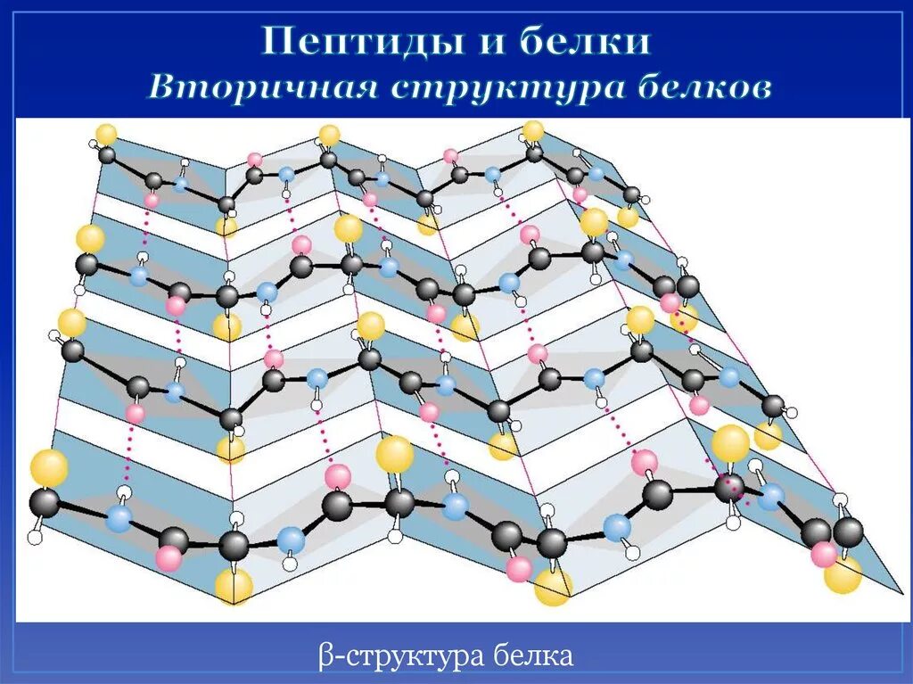 B строение