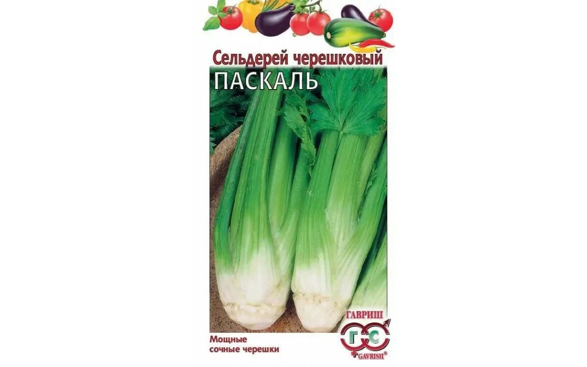 Сельдерей паскаль. Сельдерей черешковый паскаль аск 0,5 г. сельдерей паскаль 0,5г. сельдерей черешковый сочный нк. сельдерей листовой паскаль, 0.4г, 120 зи.