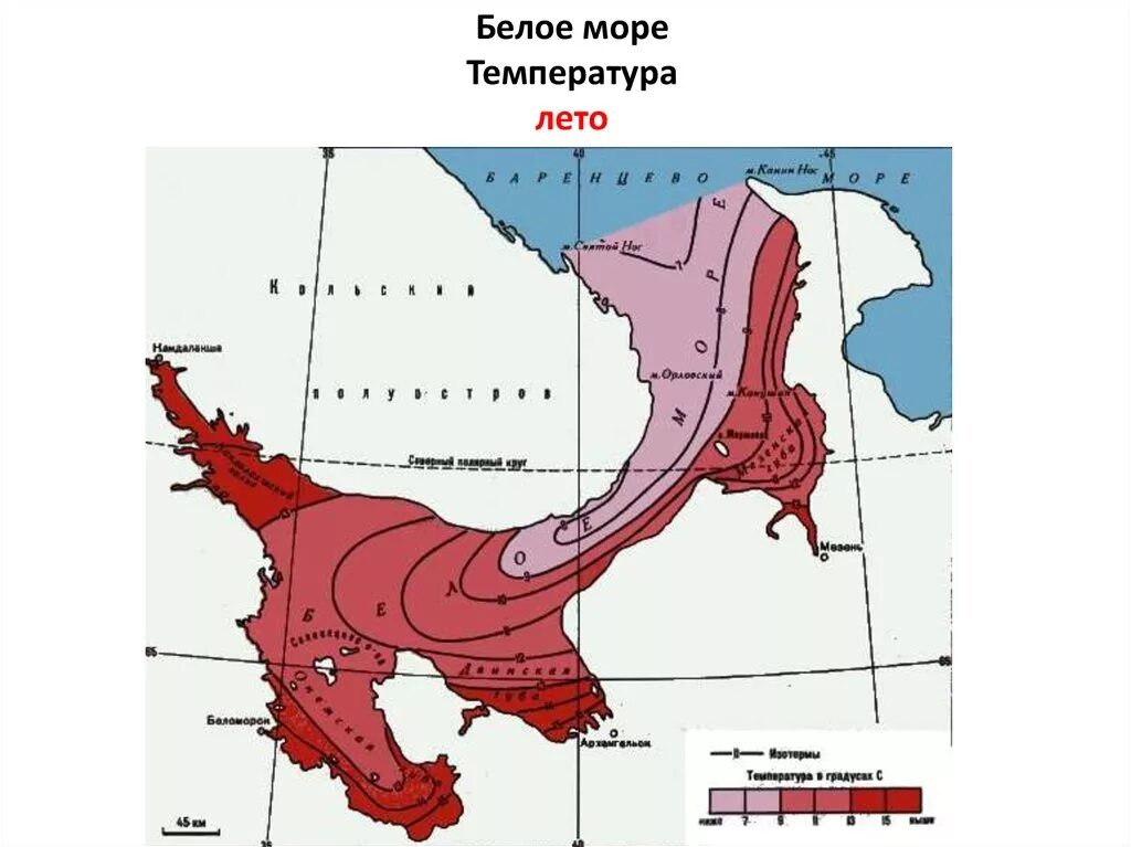 Белое море соленость воды