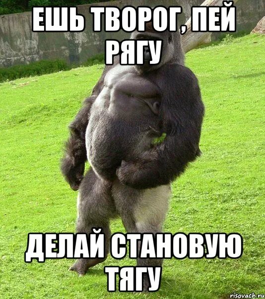 Под залу творог собрался ребята текст. Творог прикол. шутки про становую тягу. шутки про творожок. шутки про творог.