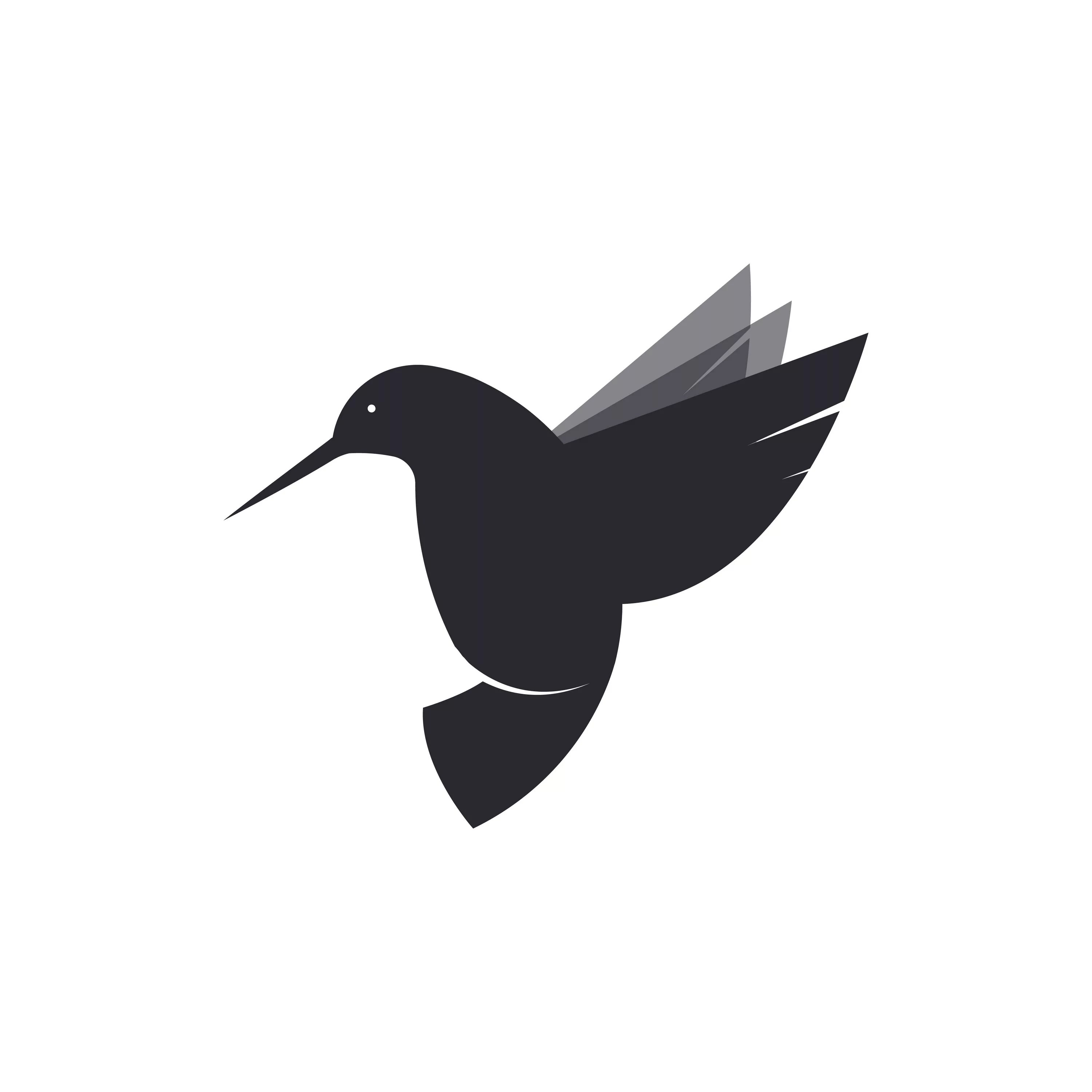 Логотип птица. Силуэт птицы логотип. Логотип с птичкой Колибри. Птички черные на прозрачном фоне.