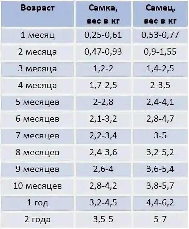 5 6 месяцев рост. Вес кота в 6 месяцев норма. Сколько должен весить котенок в 6 месяцев. Норма веса кота в 2 месяца. Норма веса кошки в 6 месяцев.