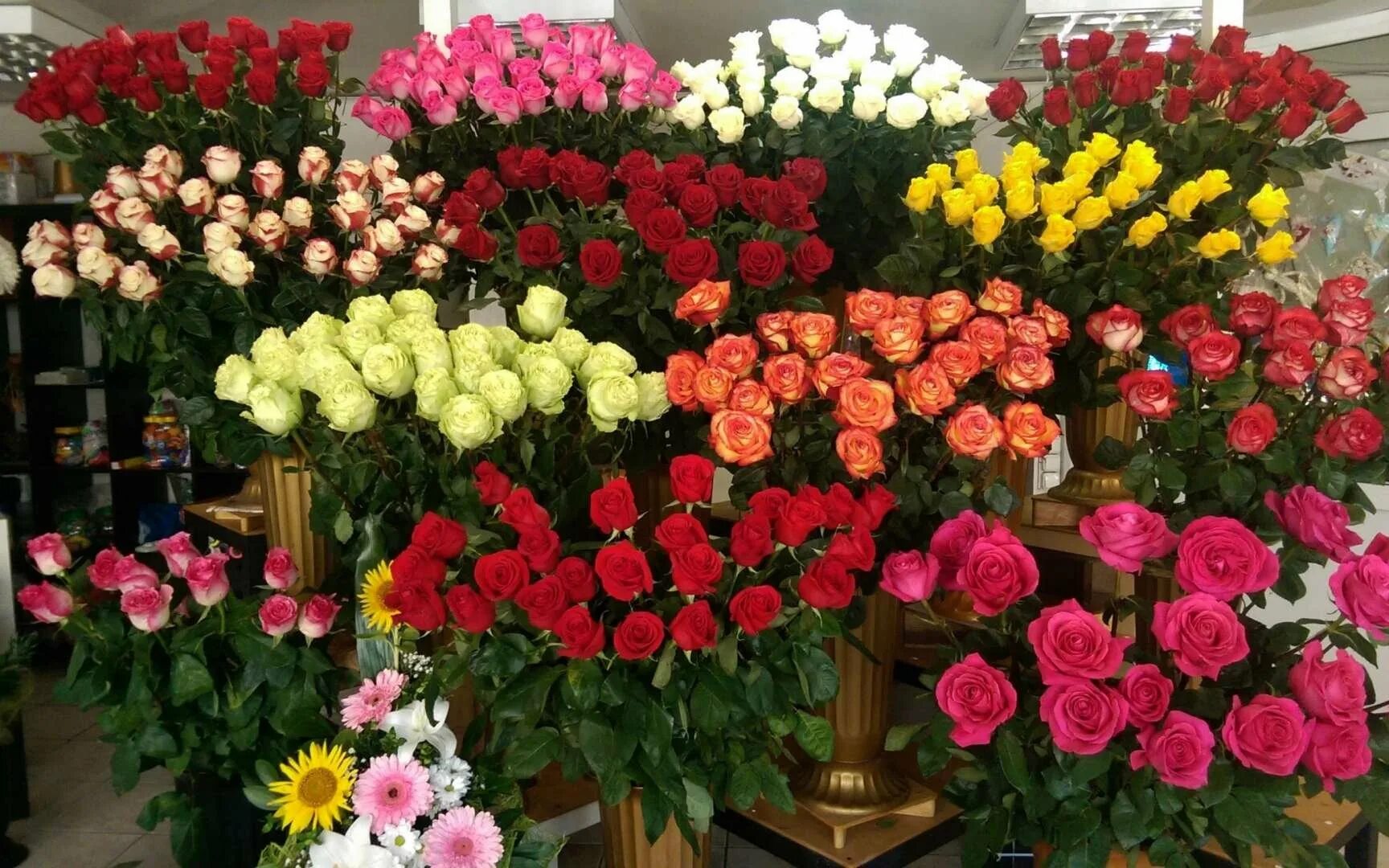 Купить розы в курске. Свежесрезанные цветы. Много букетов цветов. Розы в цветочном магазине. Цветы много букетов.