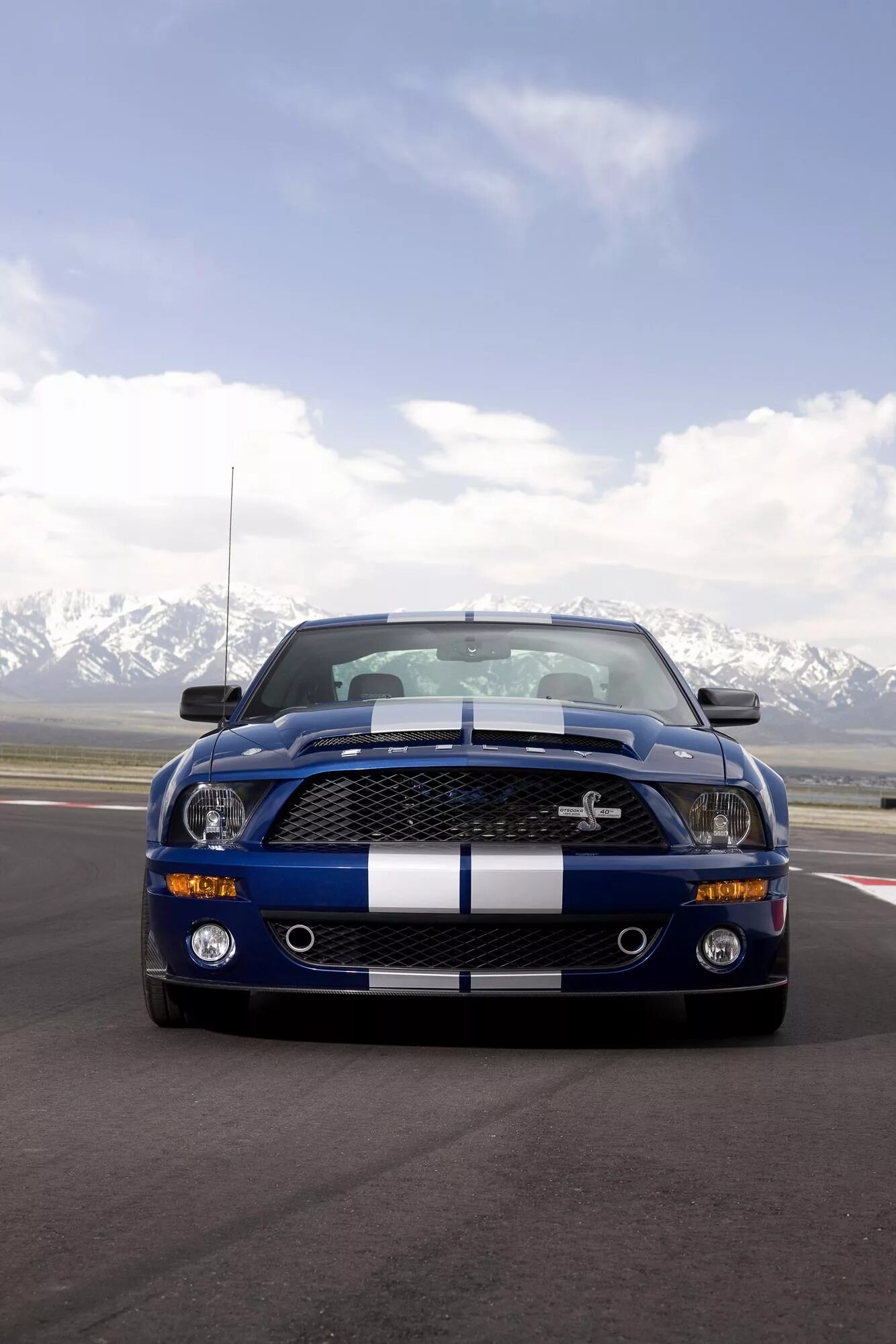 Фото машин вертикально. Ford Shelby gt500kr. Ford Shelby gt500. Ford Shelby gt500kr 2008. Ford Mustang Shelby gt500kr 2008.