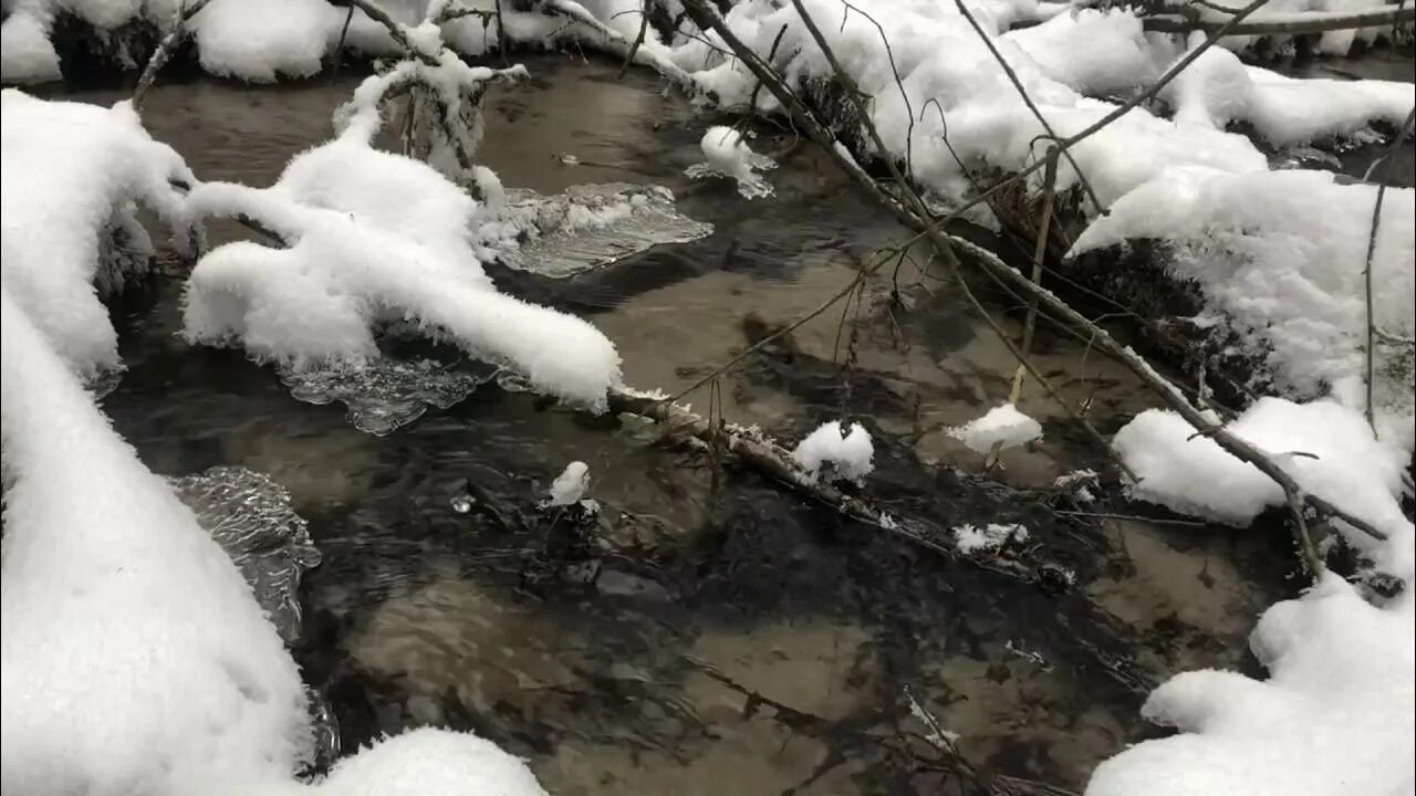 Звук шума ручья. Журчание ручья. Ручей зимой. Звуки природы журчание ручейка. Русанов ручей зимой.