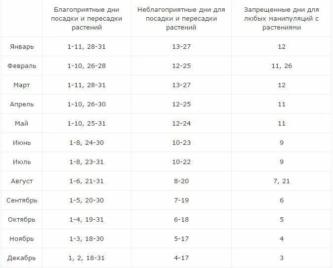 Лунный календарь для пересадки комнатных растений в 2020. Лунный календарь пересадки комнатных растений на 2020 год. Лунный календарь посадки комнатных растений. Удачные дни для пересадки комнатных растений. Какой день для пересадки цветов