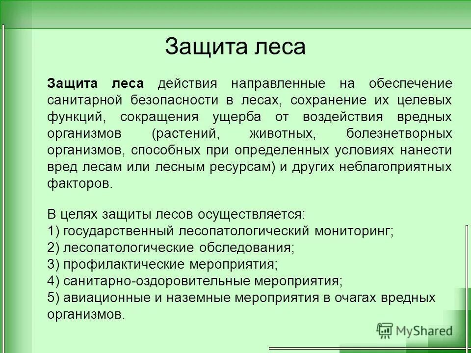меры по охране леса. экологическое значение леса. меры по защите леса. меры сохранения лесов. меры по охране леса.
