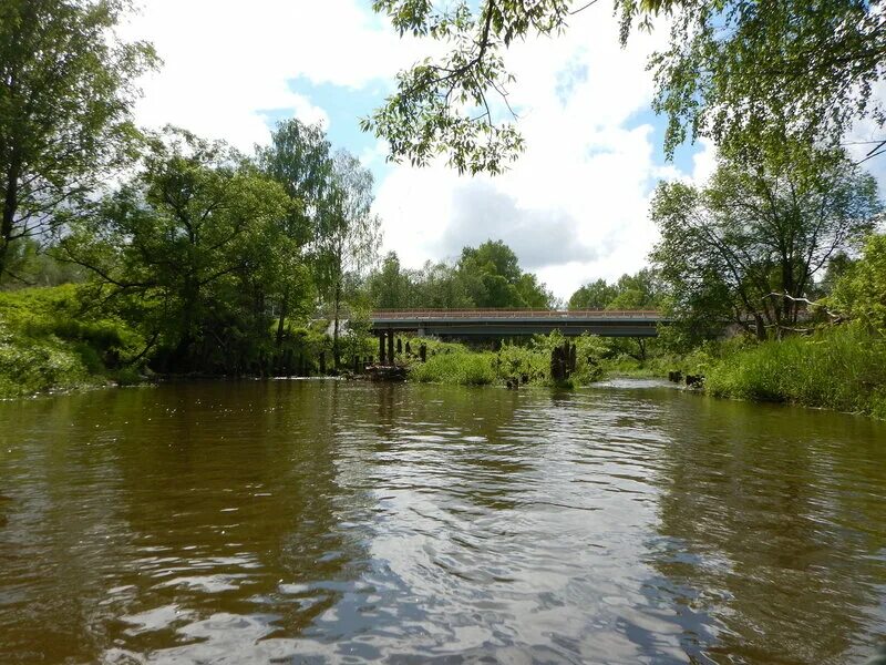 удомля речки. река пекша кольчугино. река пекша владимирская область рыбалка. сплав река пекша. река пекша кольчугино.