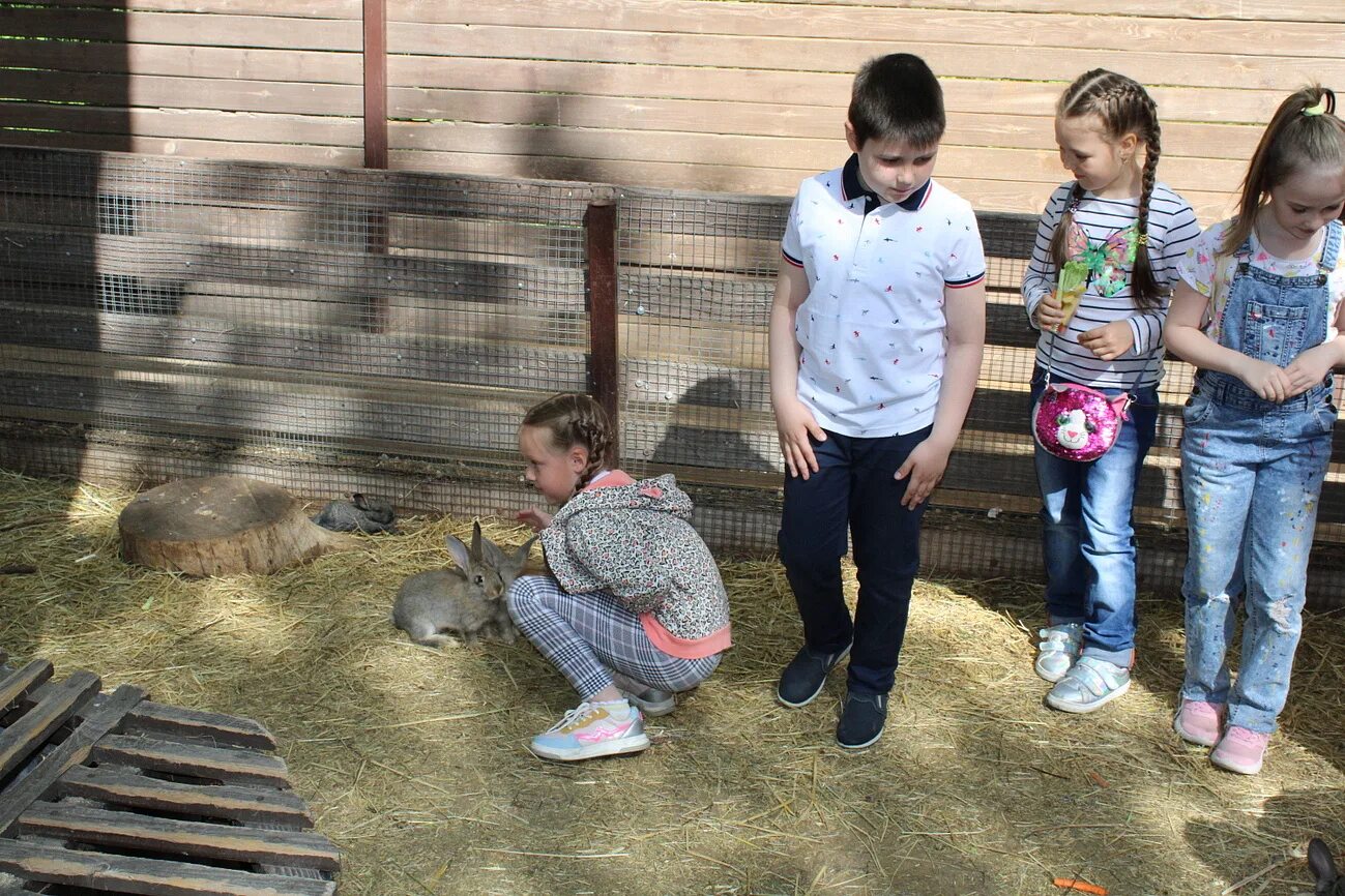 Посещение зоопарка средняя группа. Детский зоопарк. Дети в зоопарке. Детский зоопарк в Москве. Детский Московский зоопарк.