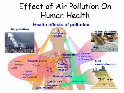Human pollution